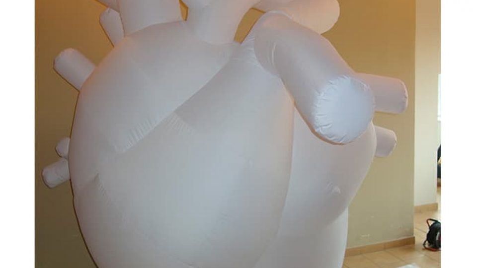 anatomic_heart_inflatable