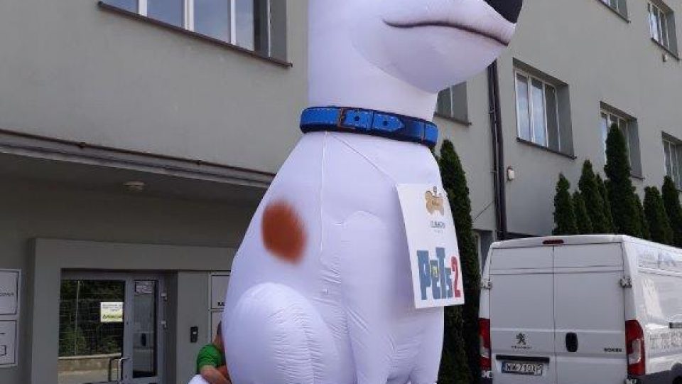 inflatable_dog_cinema
