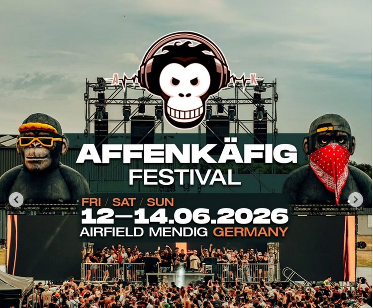 Inflatable Apes for Festival 5m