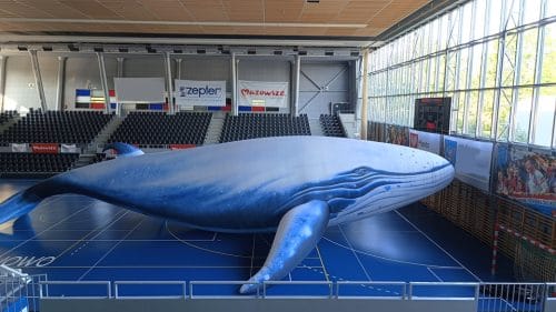 Aufblasbarer Wal in 25 Metern Länge