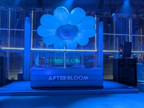 DJ Pult und Blume Afterbloom