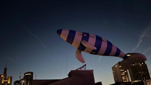 Fliegeneder Wal 9m lang für CONDOR Los Carbos