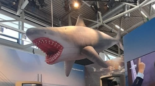 Maximale Aufmerksamkeit mit Decken-Inflatables auf Messen 1 Aufblasbarer Hai als Eyecatcher auf einem Messestand