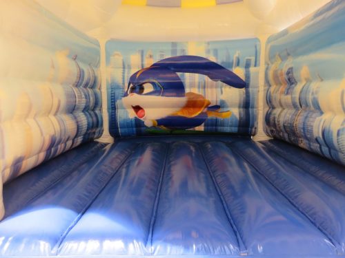 Individuelle Hüpfburgen 2 Hüpfburg bedruckte Innenwände