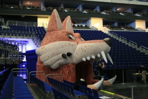 Einlauftunnel für Reinikendorfer Füchse