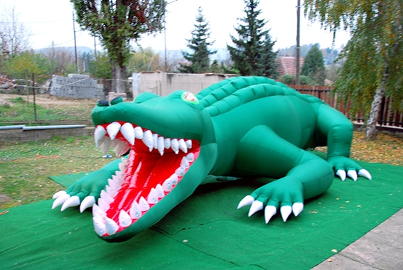 Inflatabale crocodile