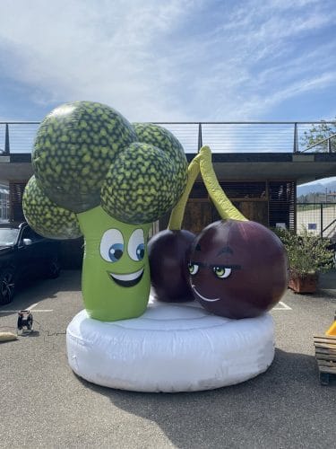 Aufblasbare Früchte als Produktnachbildung der kulinarischen Art