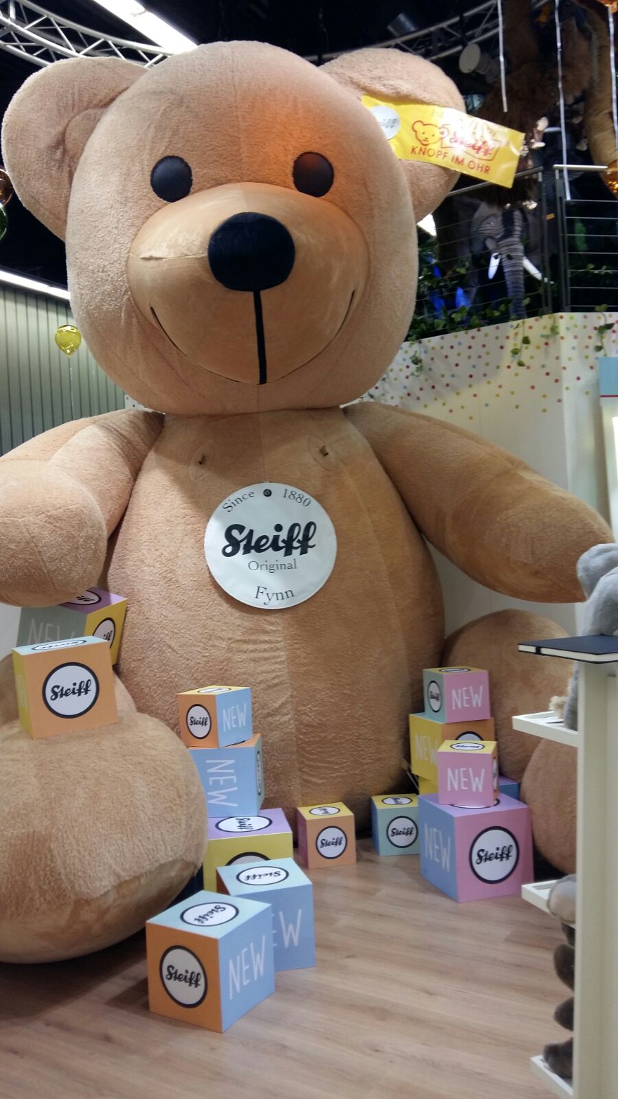 Steiff-Teddy