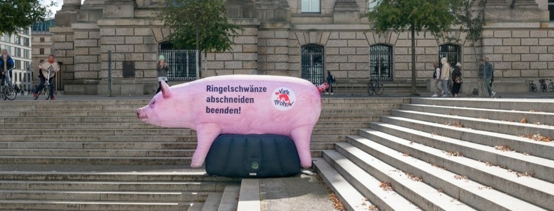 Aufblasbares Schwein vor dem Reichstag