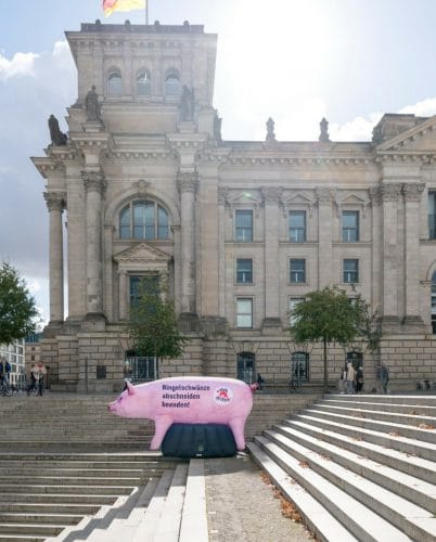 Aufblasbares Ferkel XXL in Berlin