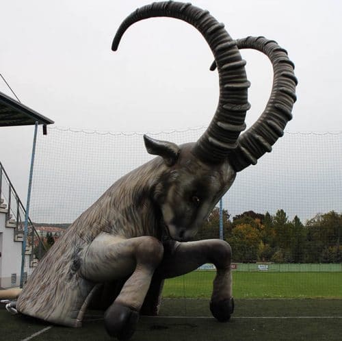 Steinbock-Einlauftunnel-Tunnel-Eishockeyey