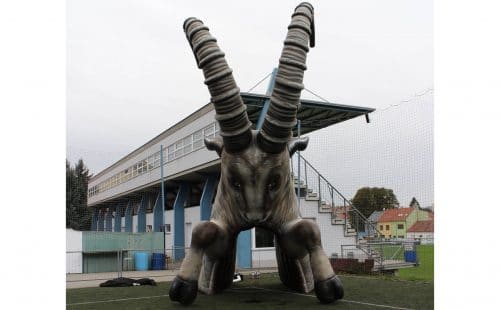 steinbock-eishockey-einlauftunnel
